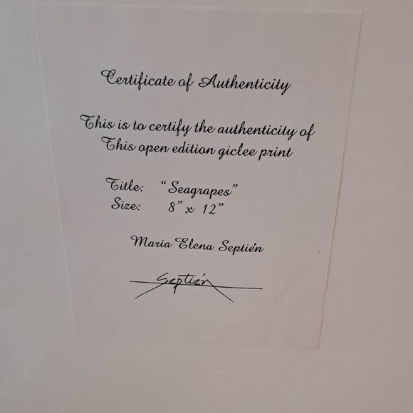 SEAGRAPES Art GICLEE Print - Picture 5 of 6